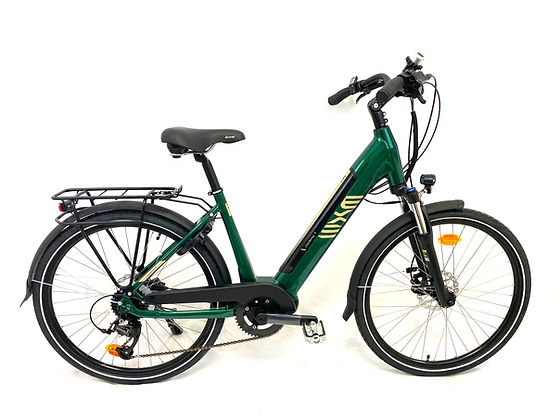 vélo électrique premium